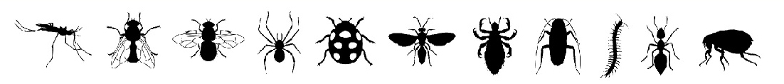 Pest Control Services