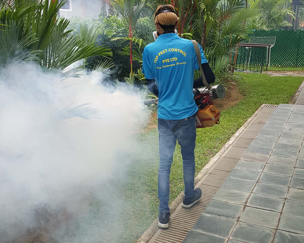 fumigation Singapore