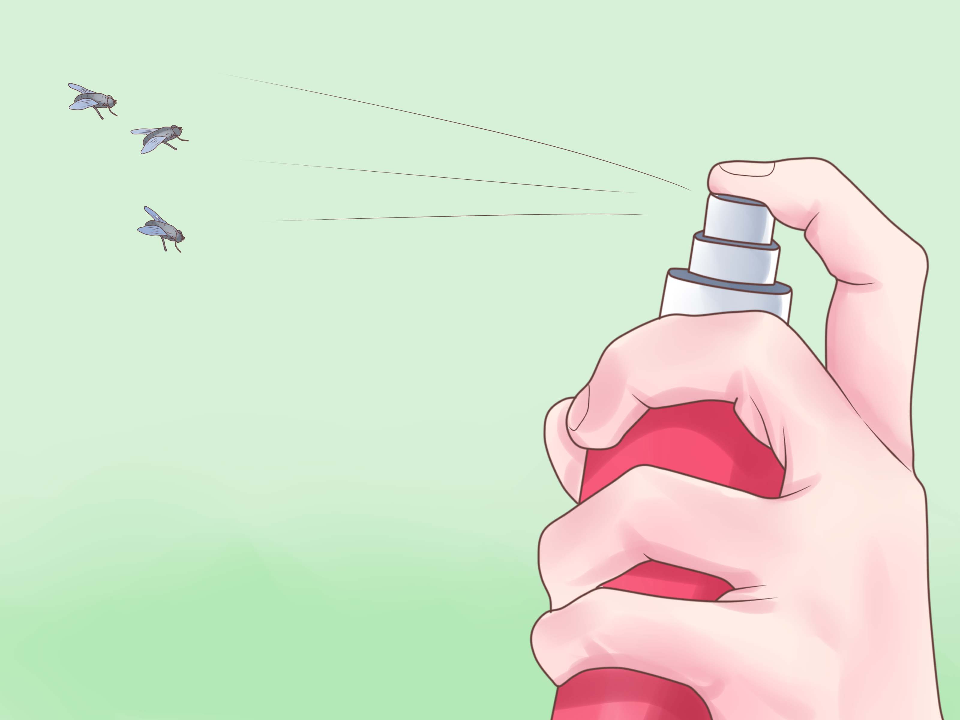 Rid Of Flies