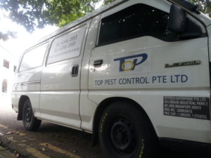 Top Pest Control Services