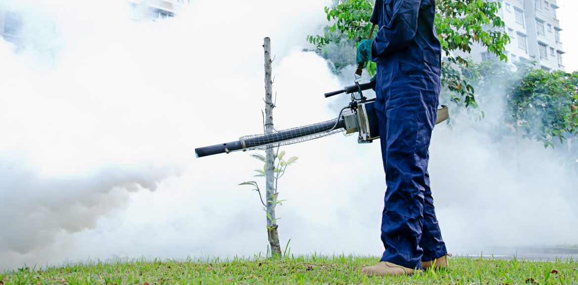 fumigation in Singapore