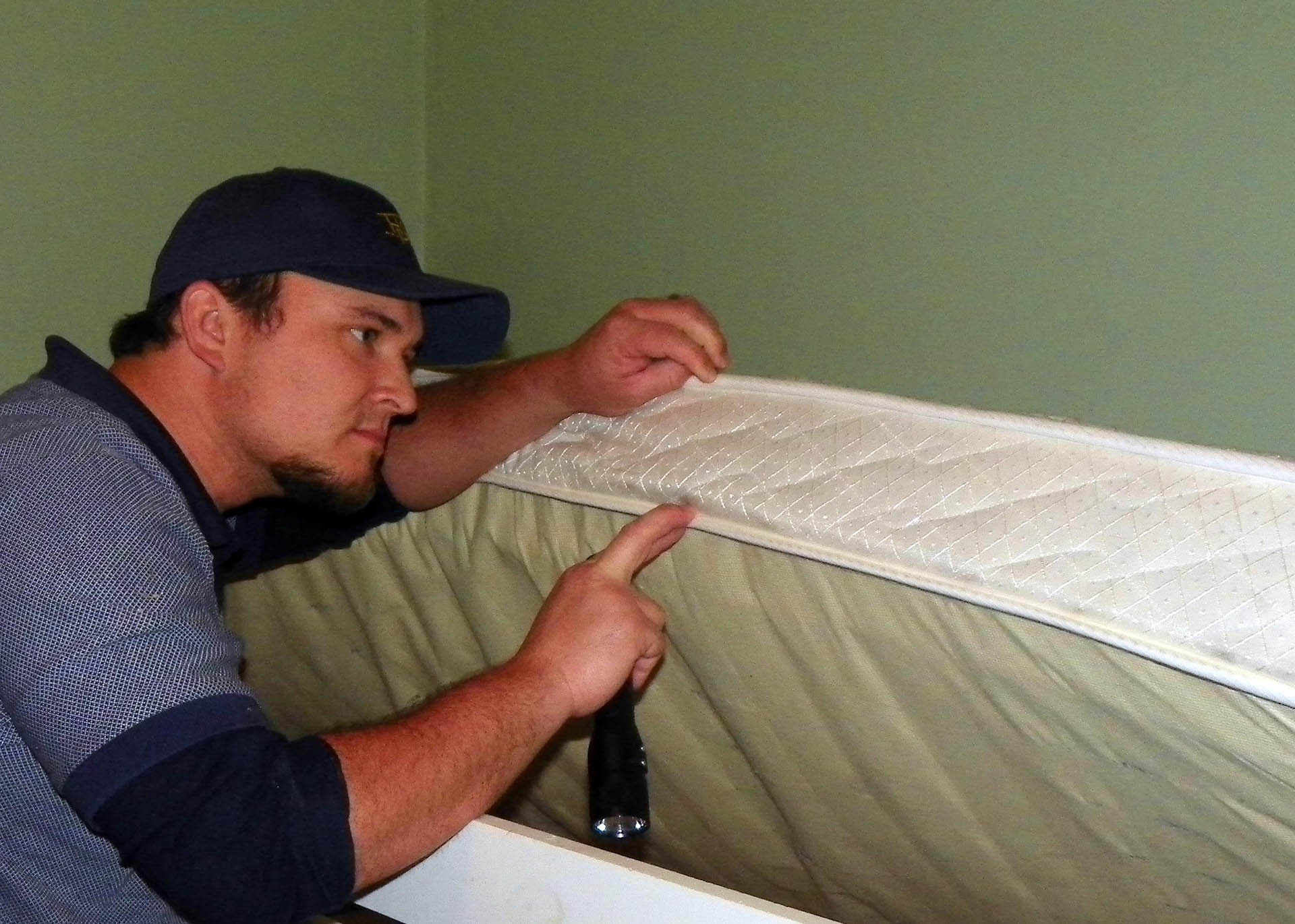 Bed Bug Inspection