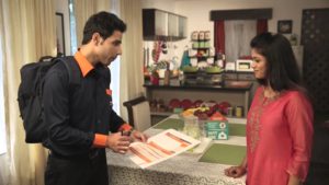 Pest Control Services