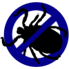 Professional Pest Control Company in Singapore