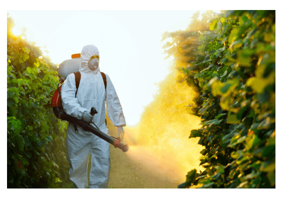 Cheap Pest Control Singapore